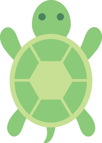 Cute Turtle Transparent PNG Image