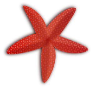 Cute Starfish Transparent PNG Image