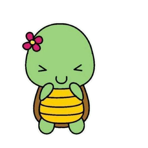 Cute Turtle Transparent PNG Image