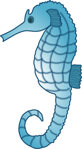 Cute Seahorse Transparent PNG Image