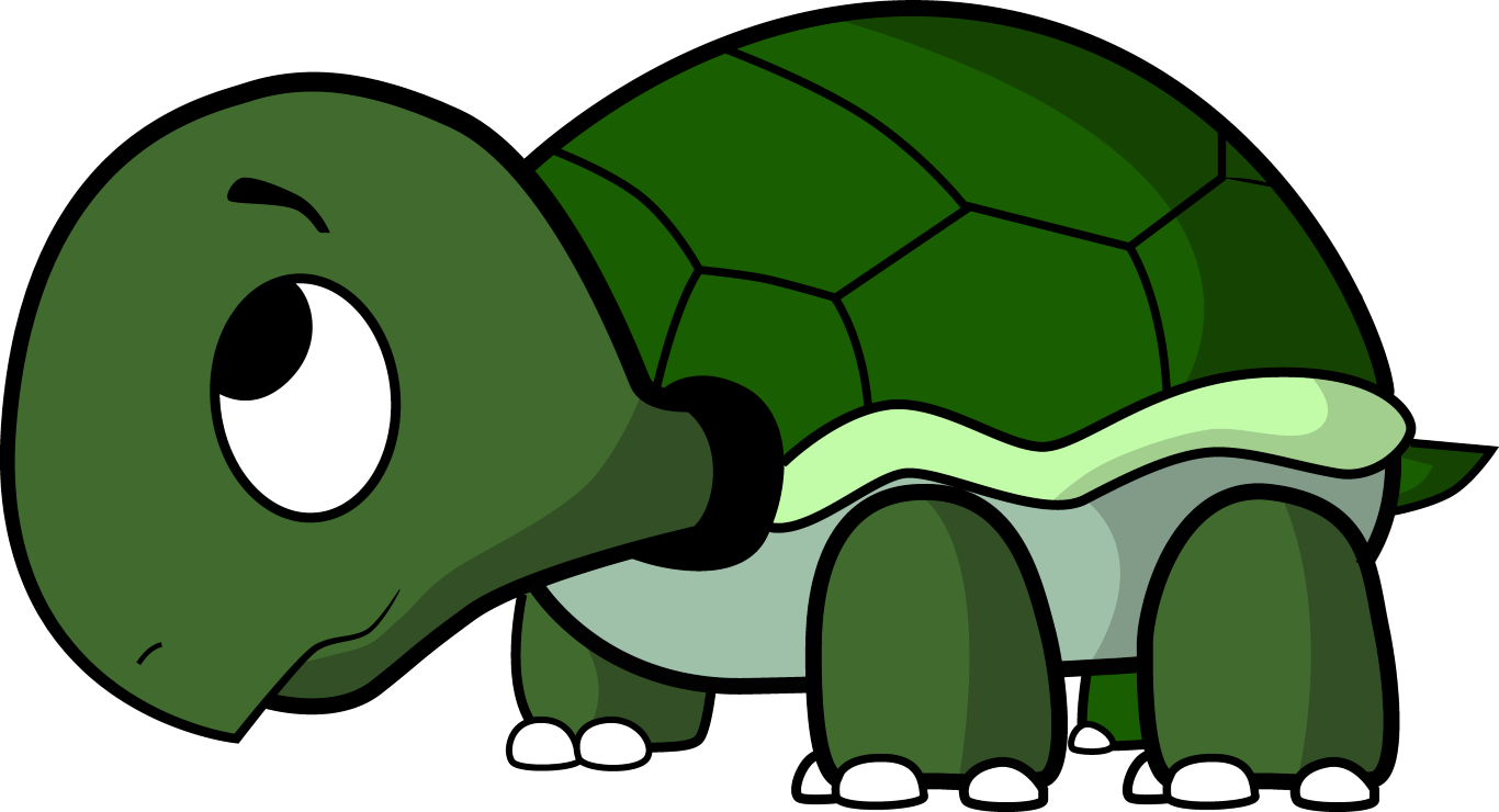 Cute Turtle Background Transparent PNG Image