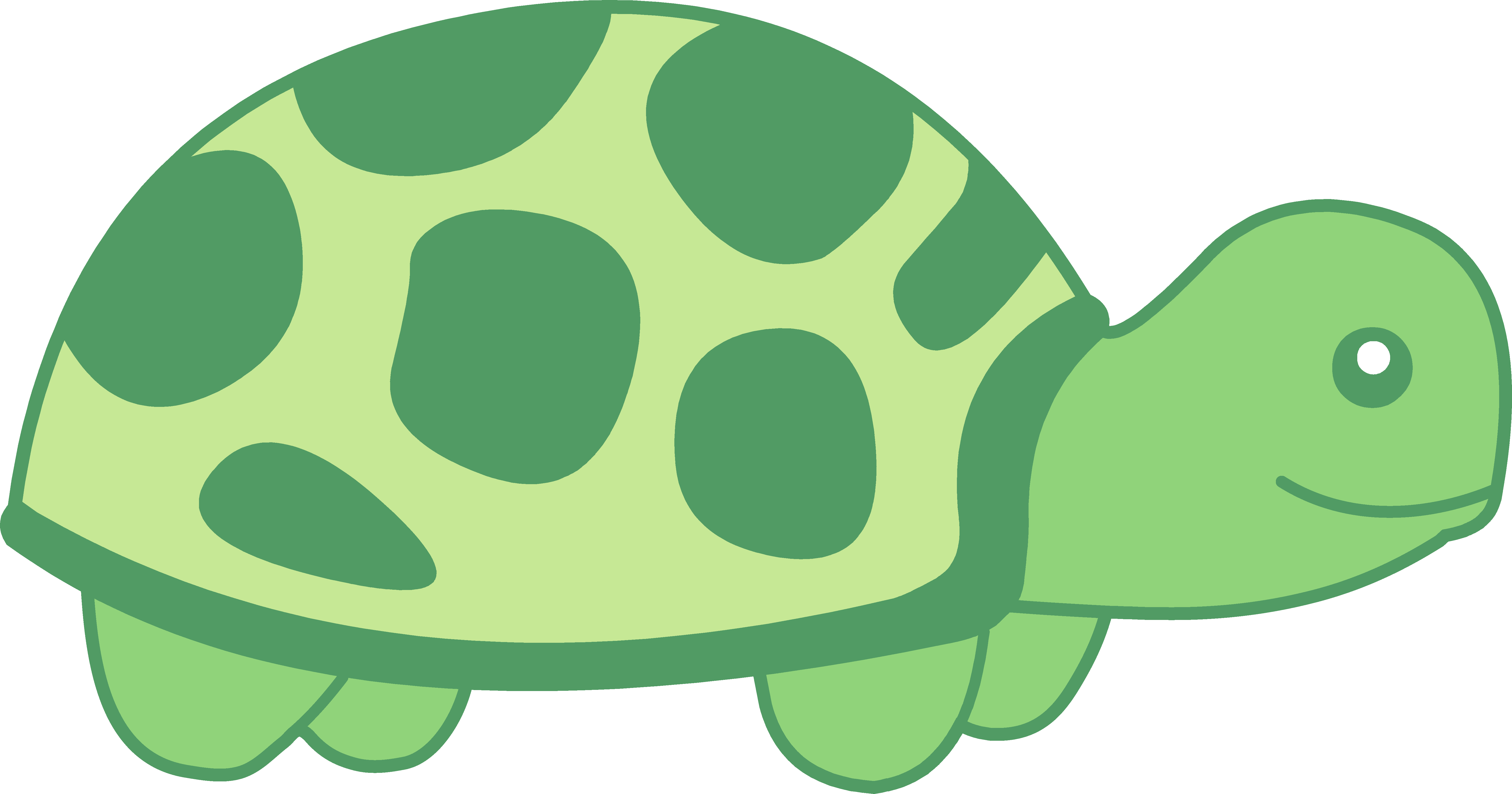 Cute Turtle Transparent PNG Image