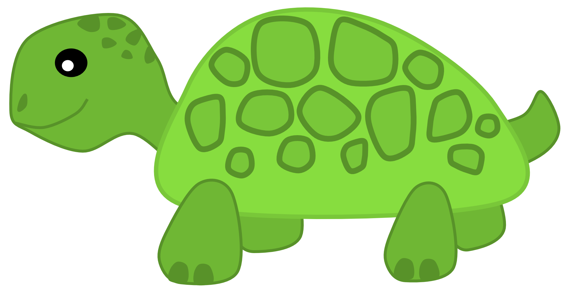 Cute Turtle Transparent PNG Image