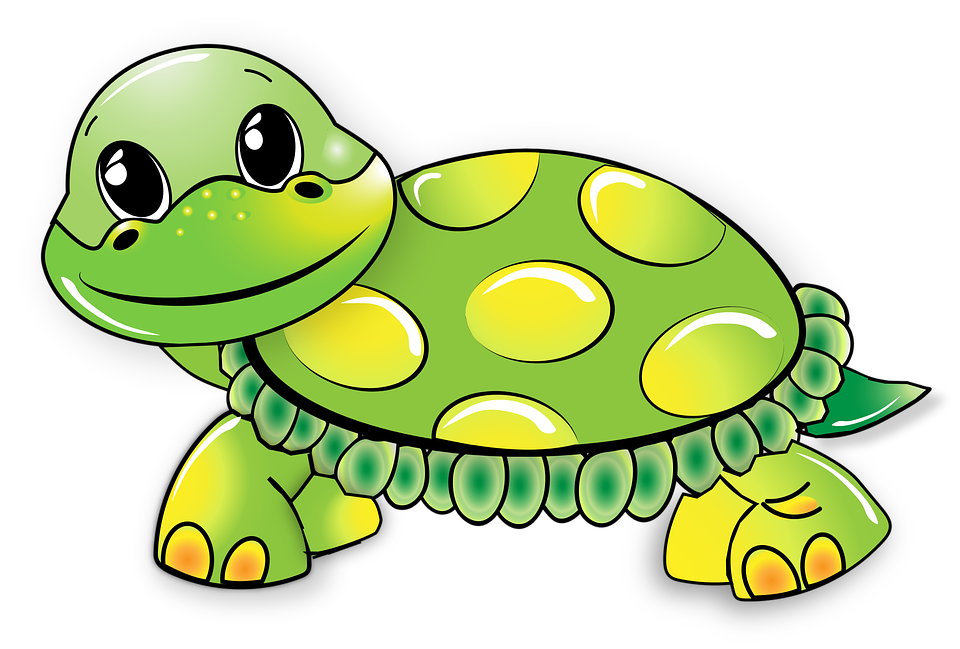 Cute Turtle Transparent PNG Image
