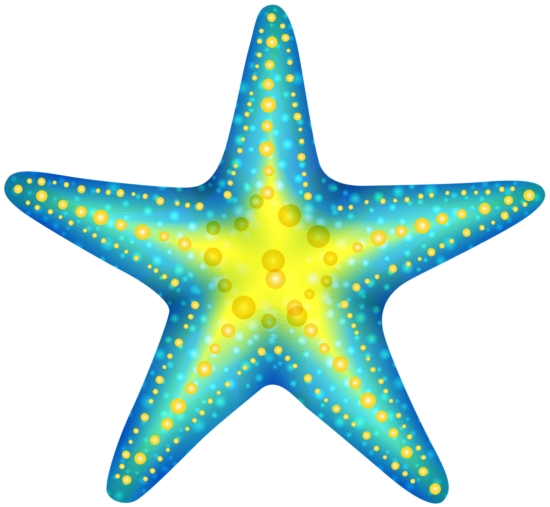 Cute Starfish Transparent PNG Image