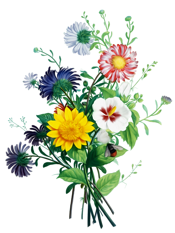 Bouquet Bride Plant Flower Chrysanths Transparent PNG Image