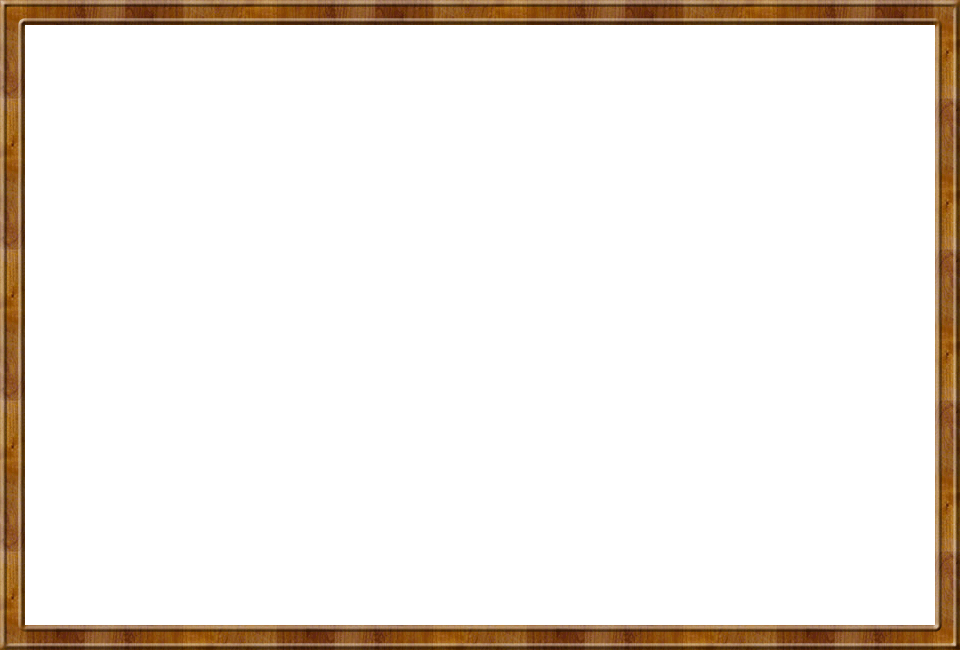 Frame Transparent PNG Image