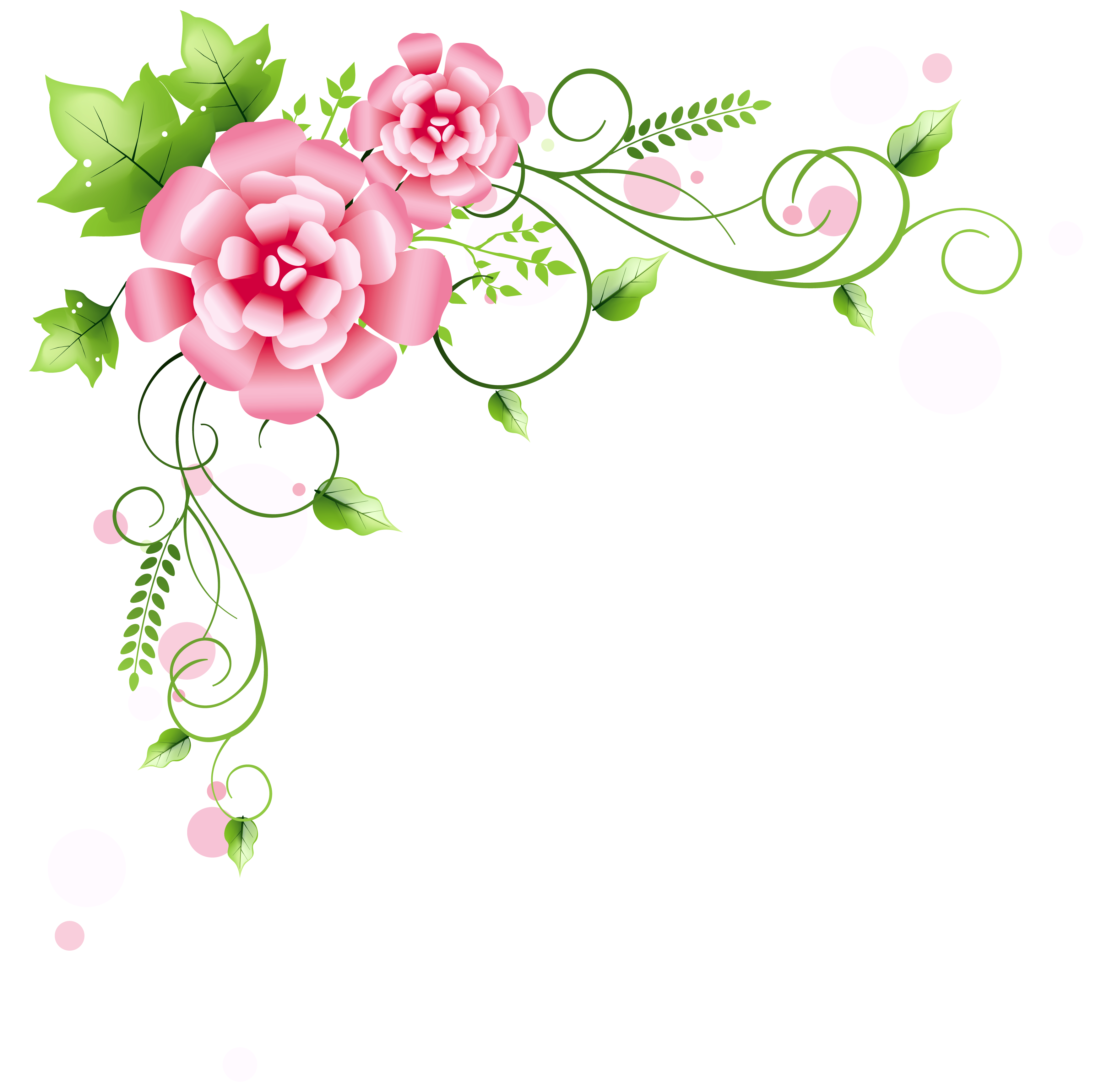 Floral Corner Decoration Transparent PNG Image