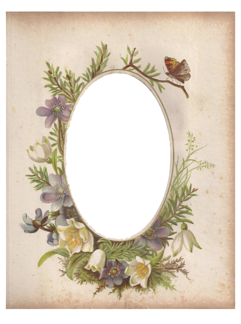 Floral Vintage Frame Transparent PNG Image