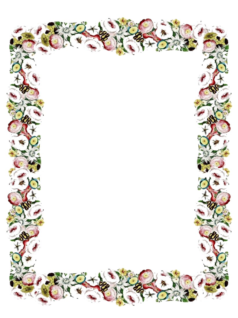 Floral Vintage Frame Transparent PNG Image