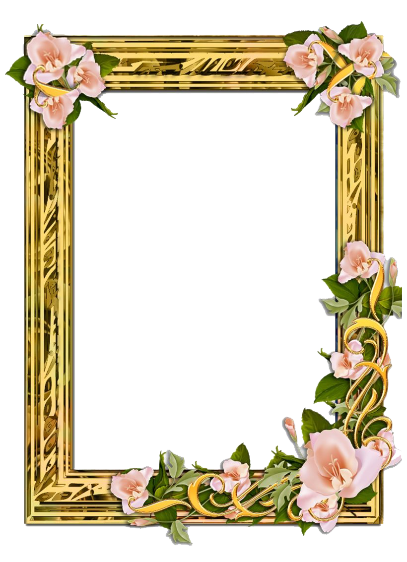 Poppy Frame Flower Transparent PNG Image