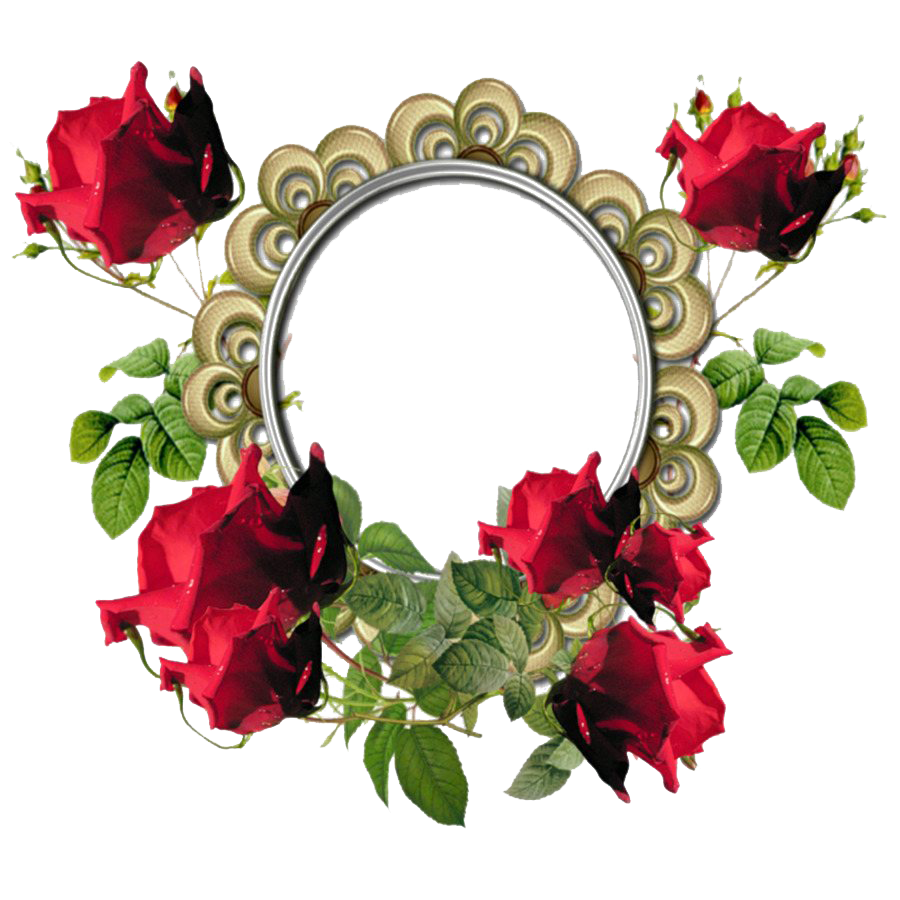 Poppy Frame Flower Round Transparent PNG Image