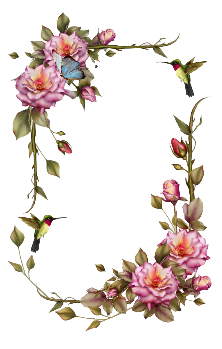 Floral Vintage Frame Transparent PNG Image
