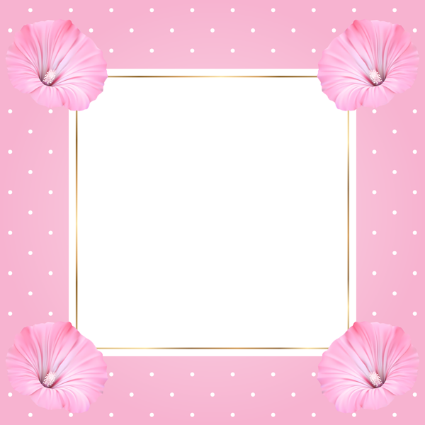 Pink Frame Square Transparent PNG Image