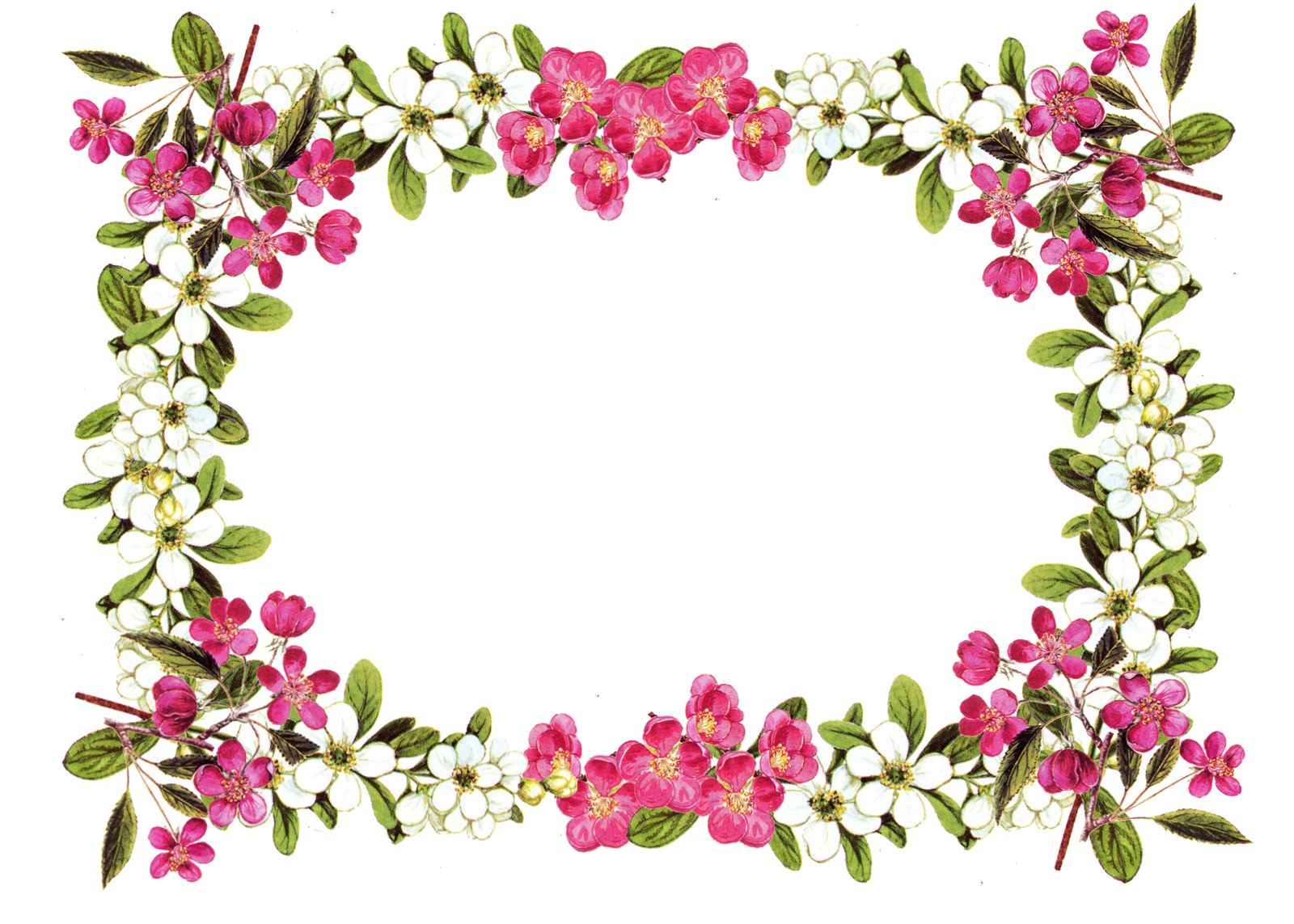 Floral Vintage Frame Transparent PNG Image