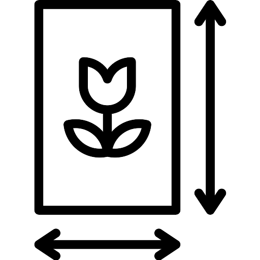 Framing Transparent PNG Image