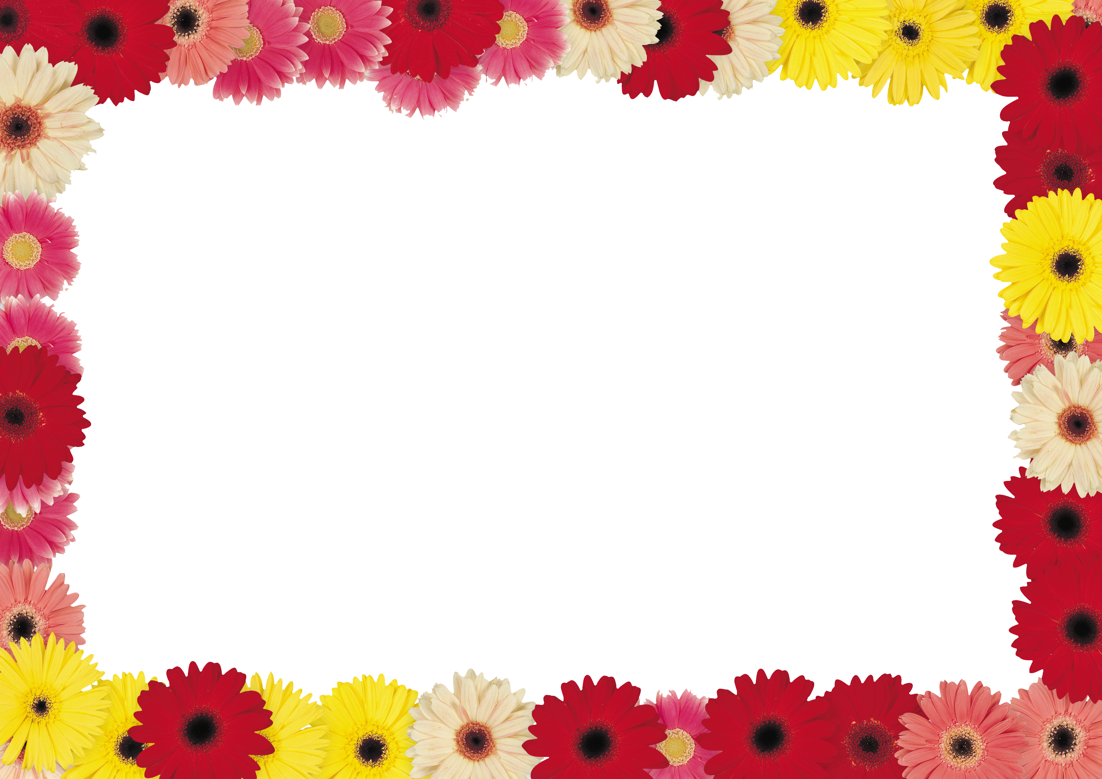 Abstract Frame Transparent PNG Image