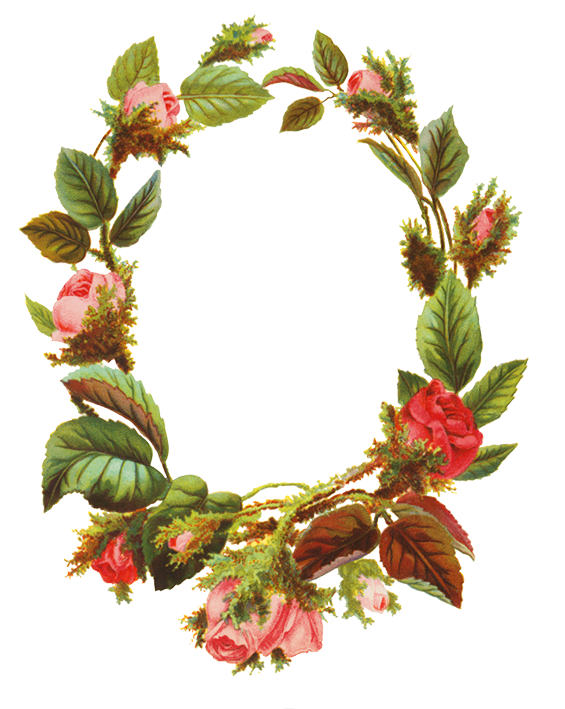Circle Flower Frame Transparent PNG Image