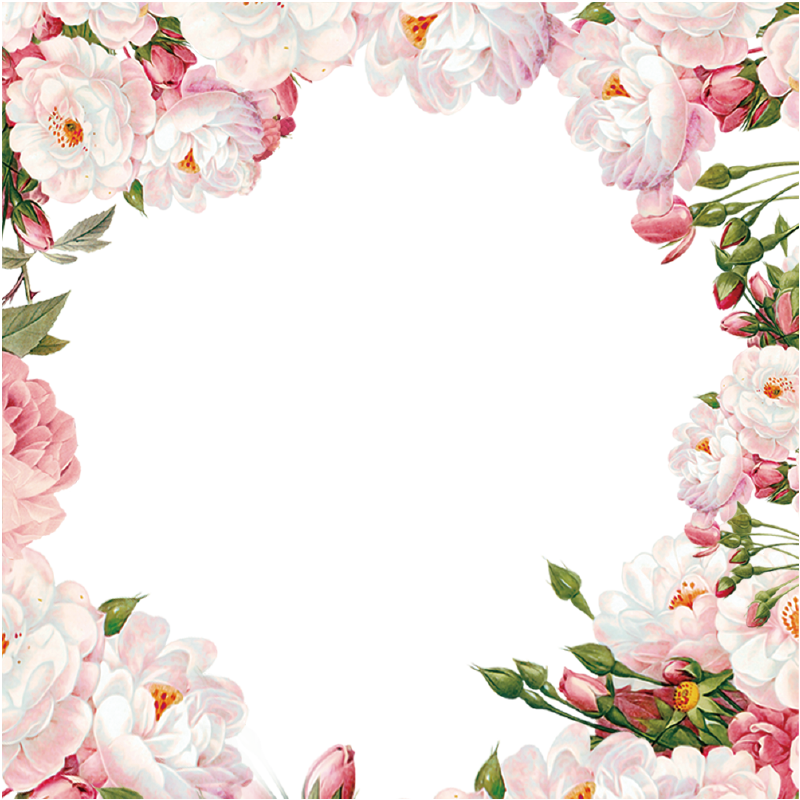 Frame Flowers Border Transparent PNG Image