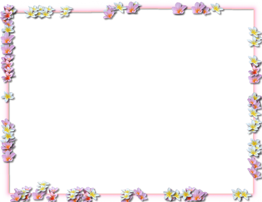Frame Flowers Border Transparent PNG Image