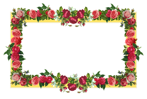 Frame Flowers Transparent PNG Image