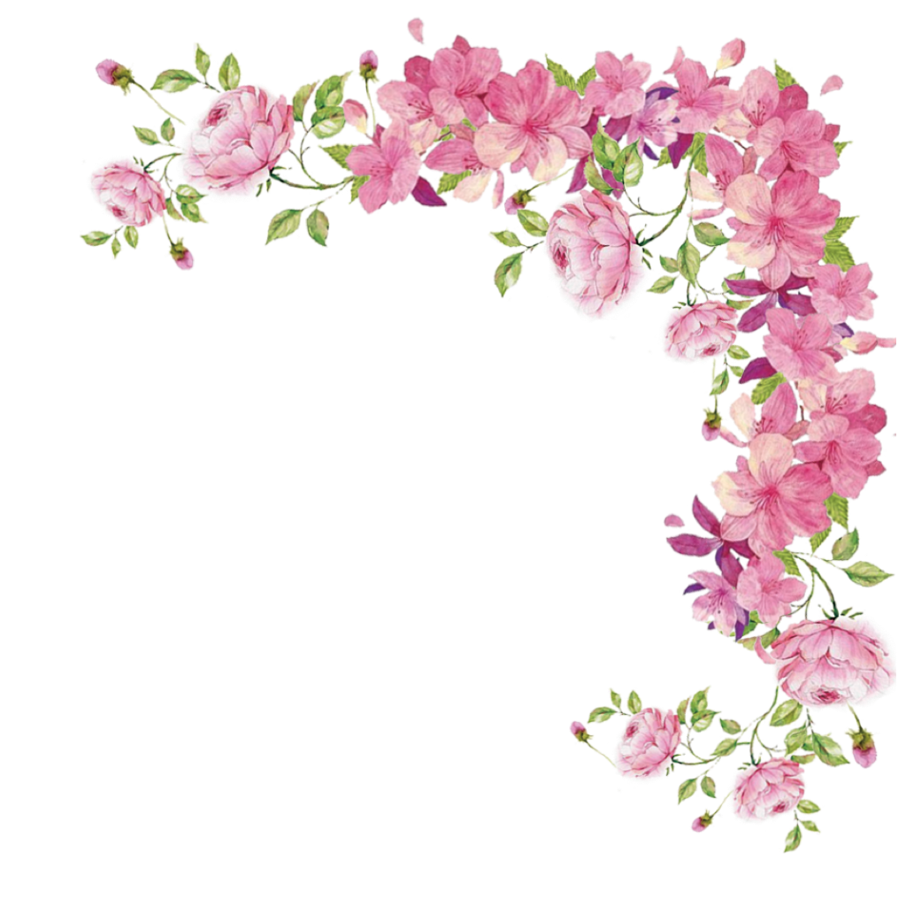 Pink Flowers Border Transparent PNG Image