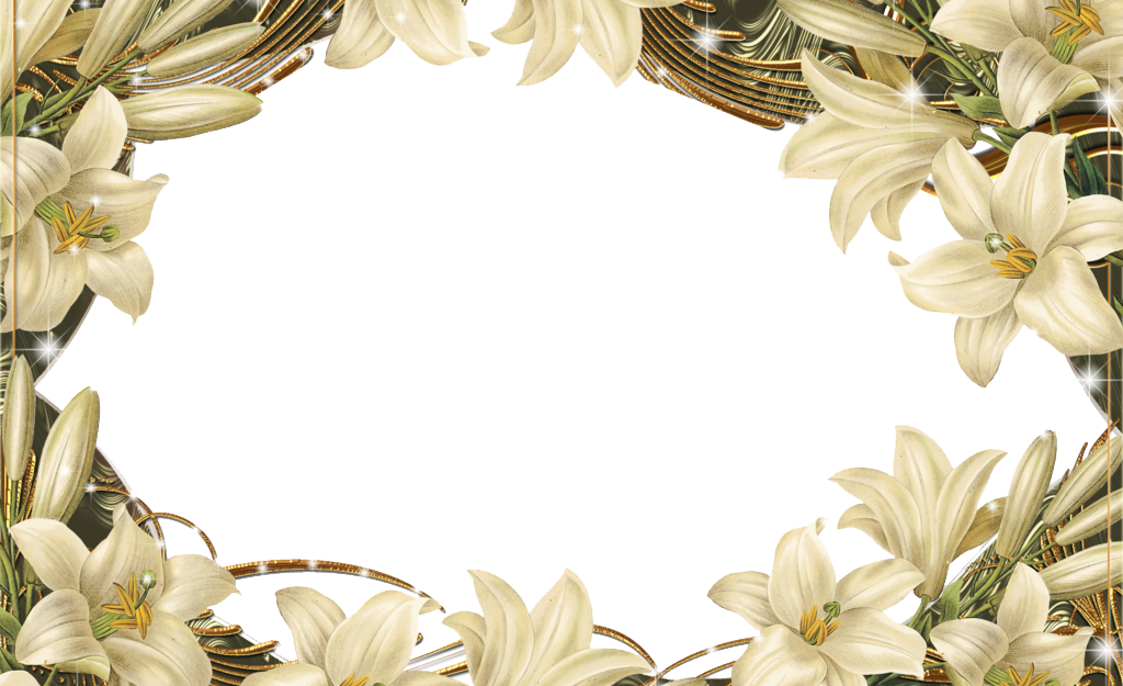 Frame Flower Transparent PNG Image