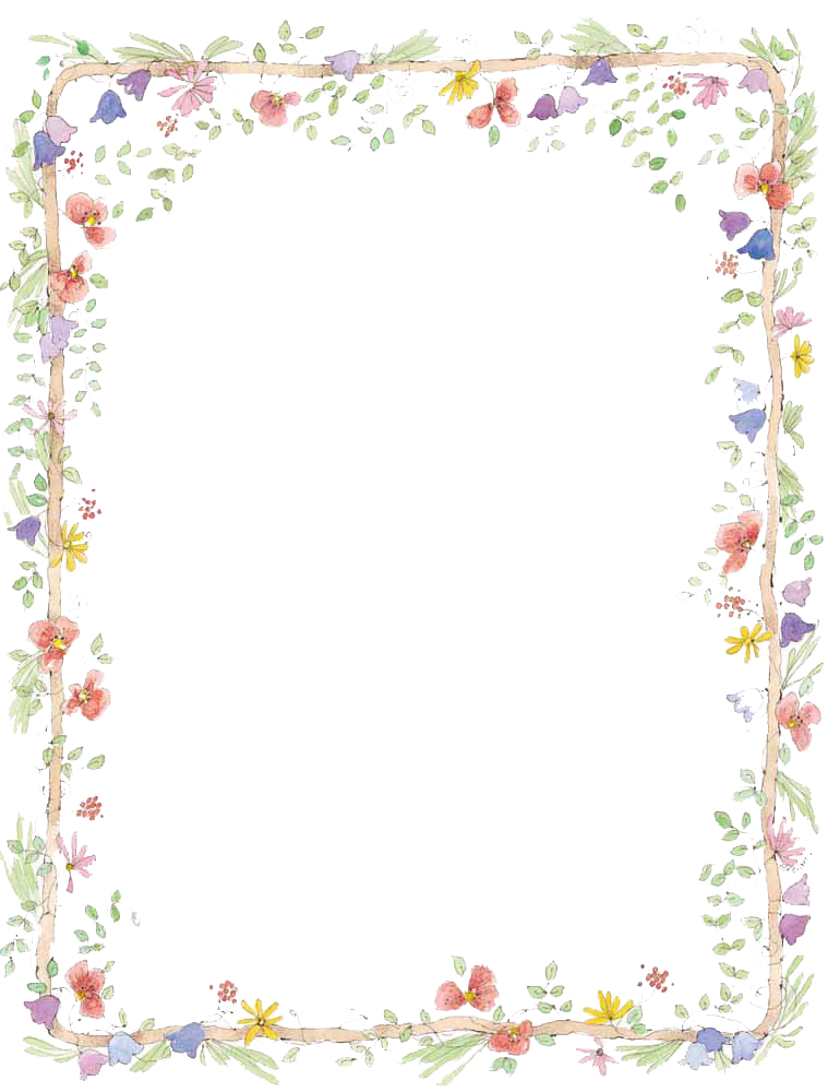 Frame Flower Transparent PNG Image