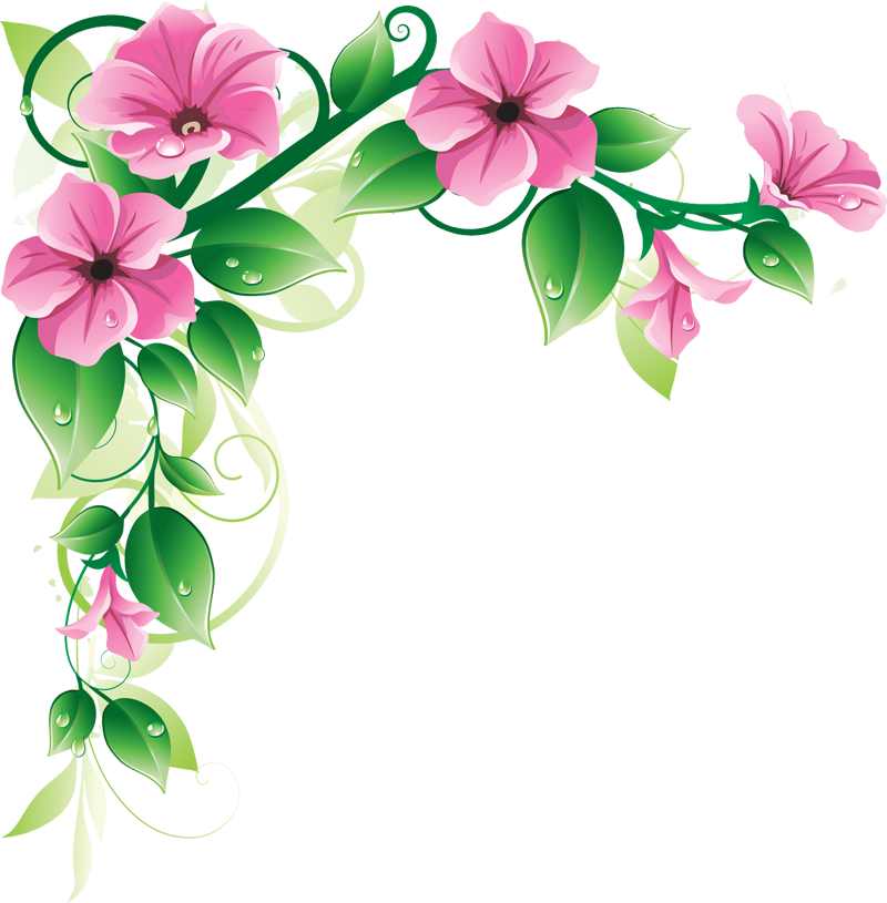 Pink Floral Border Transparent PNG Image