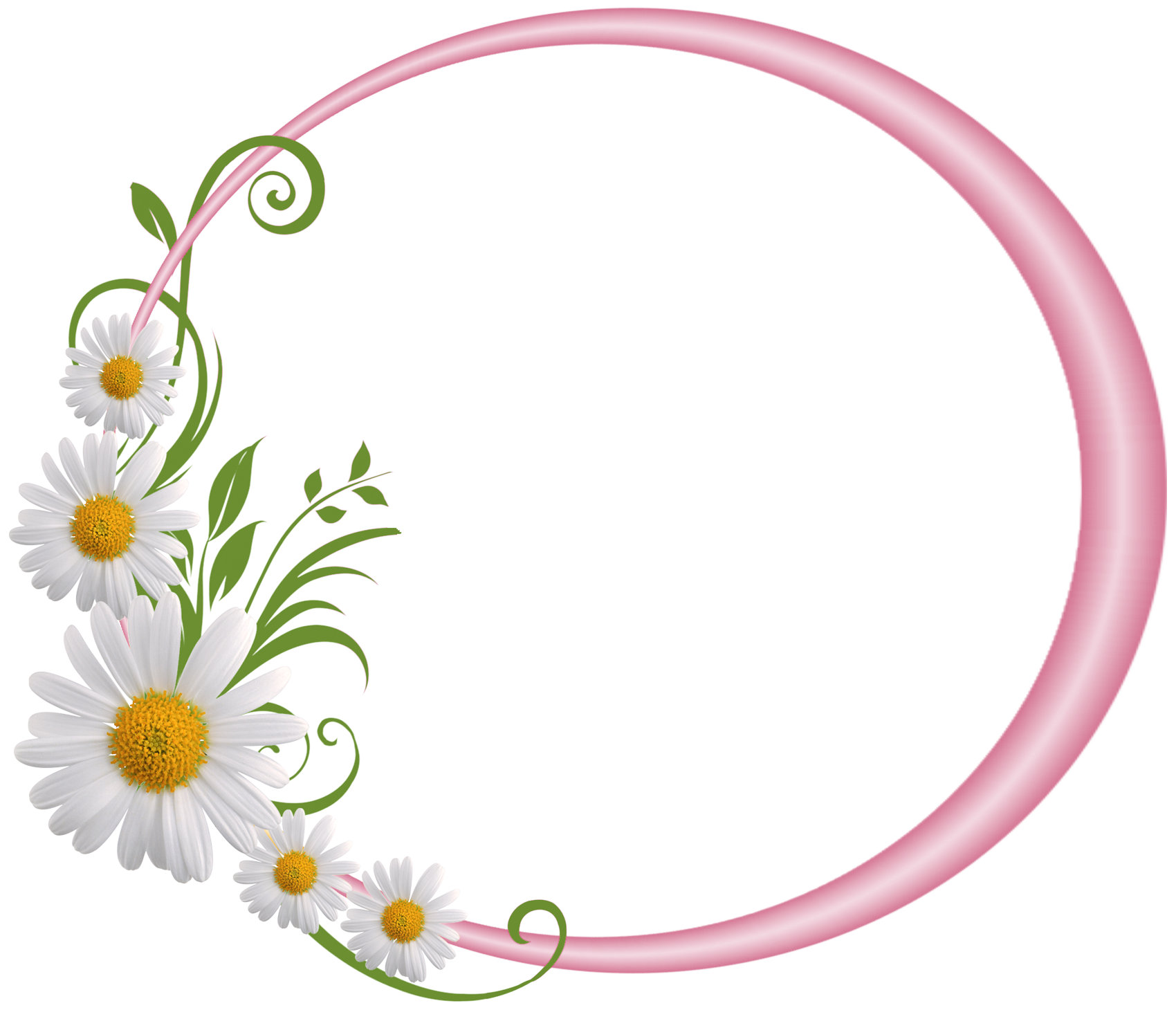 Pink Frame Floral Circle Border Transparent PNG Image