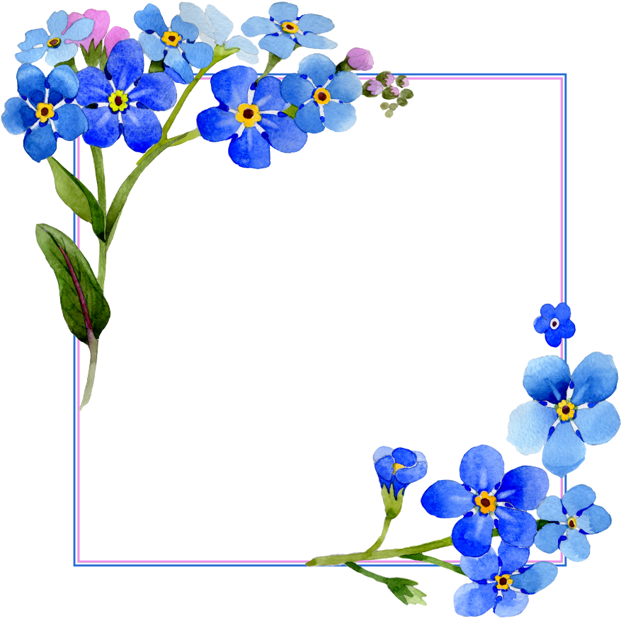 Frame Flower Romantic Transparent PNG Image