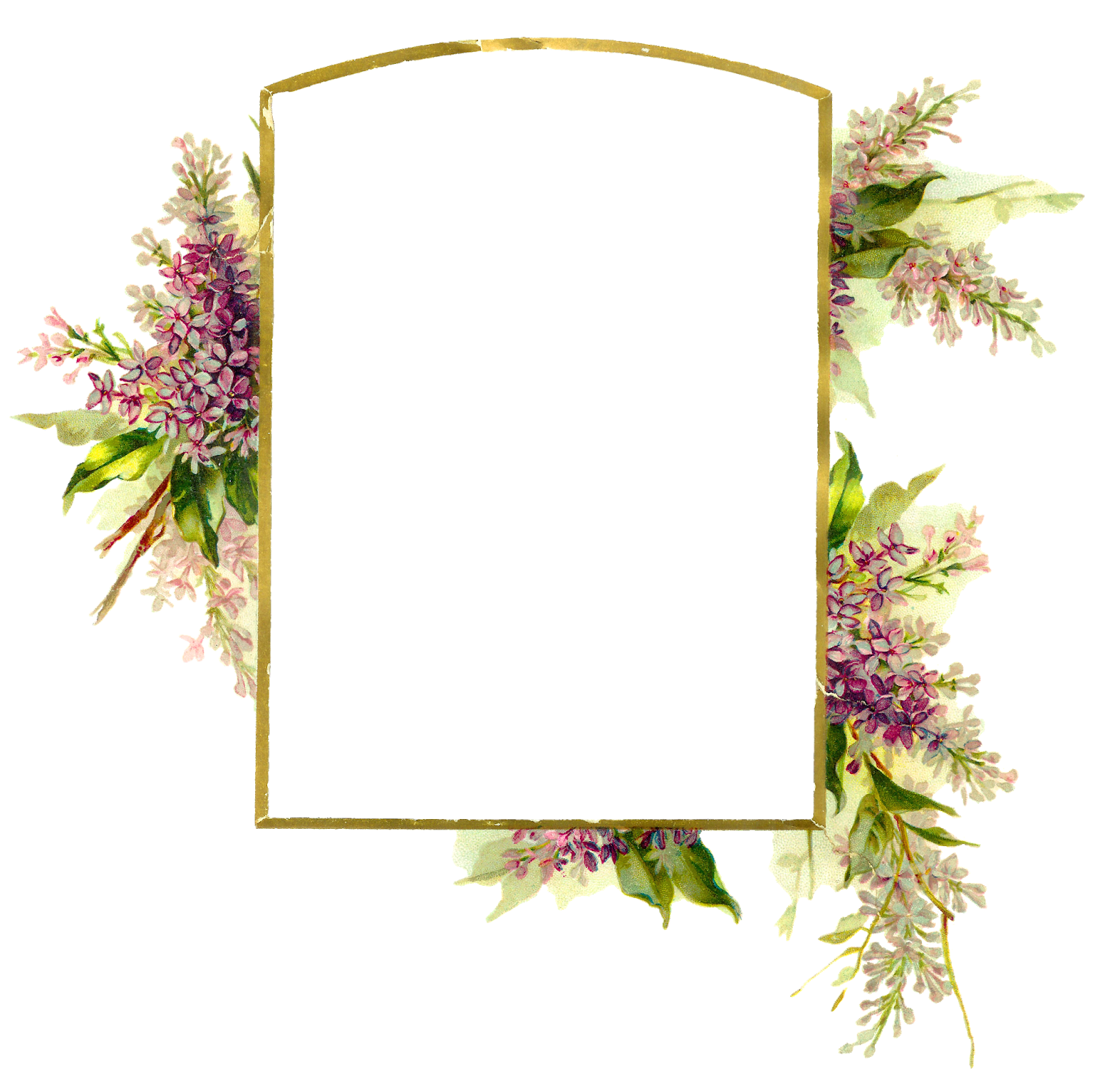 Frame Flower Romantic Transparent PNG Image