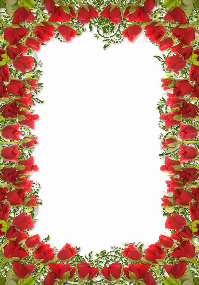 Floral Rose Border Transparent PNG Image
