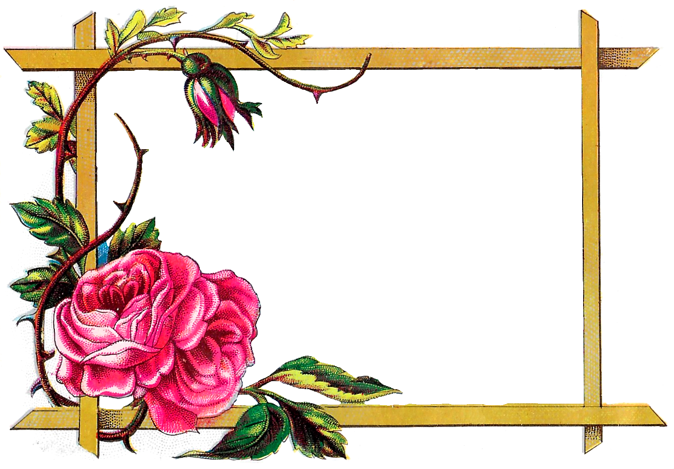 Floral Border Wedding Transparent PNG Image