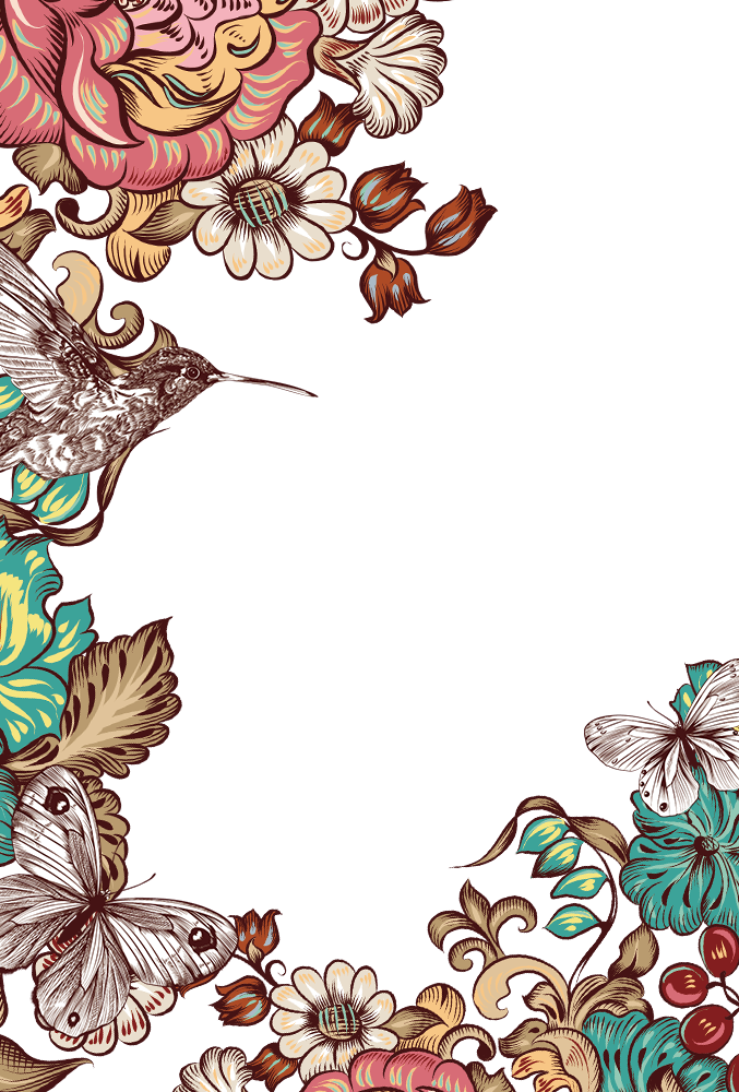 Butterfly Frame Flower Border Transparent PNG Image
