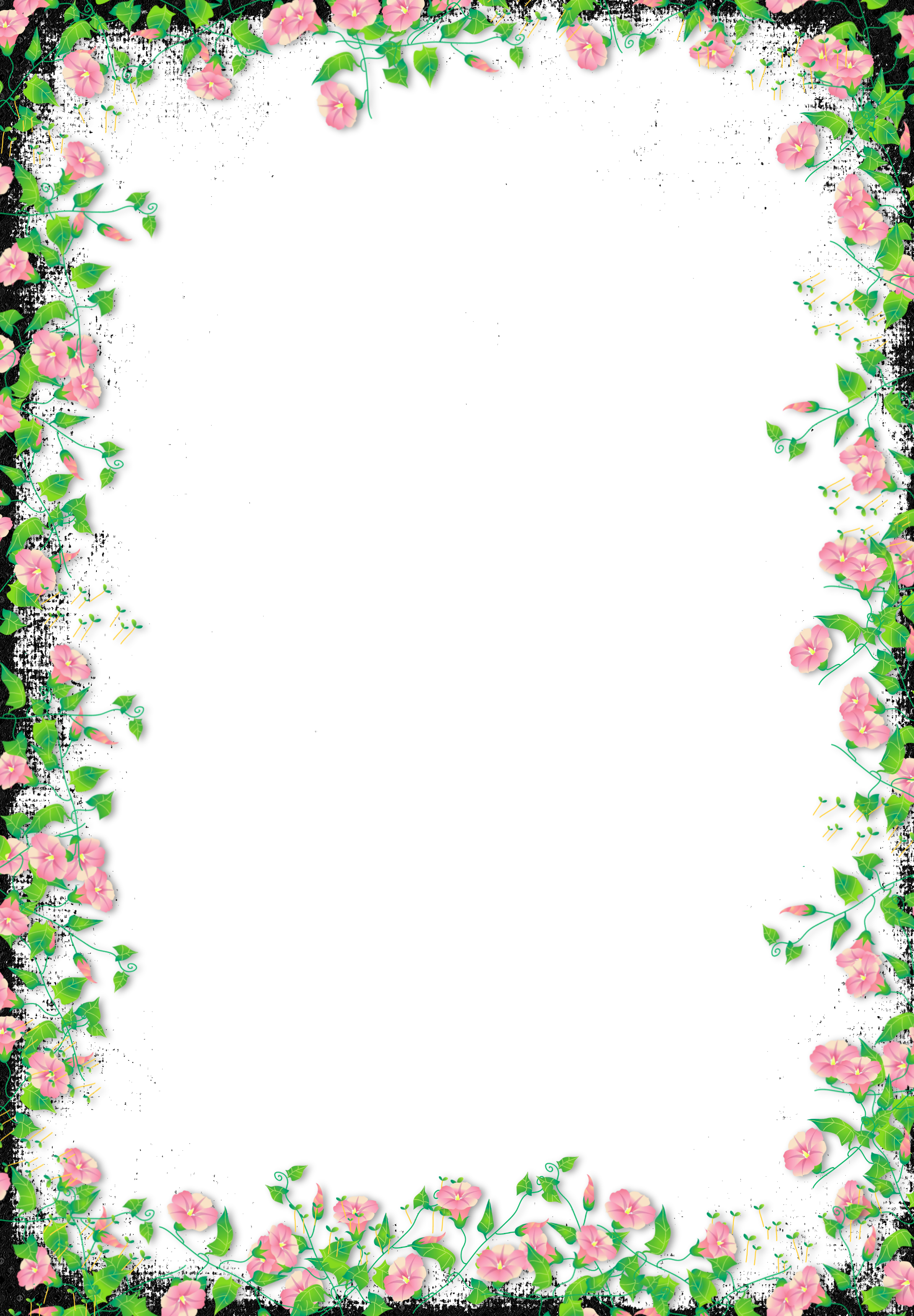 Frame Flower Border Transparent PNG Image