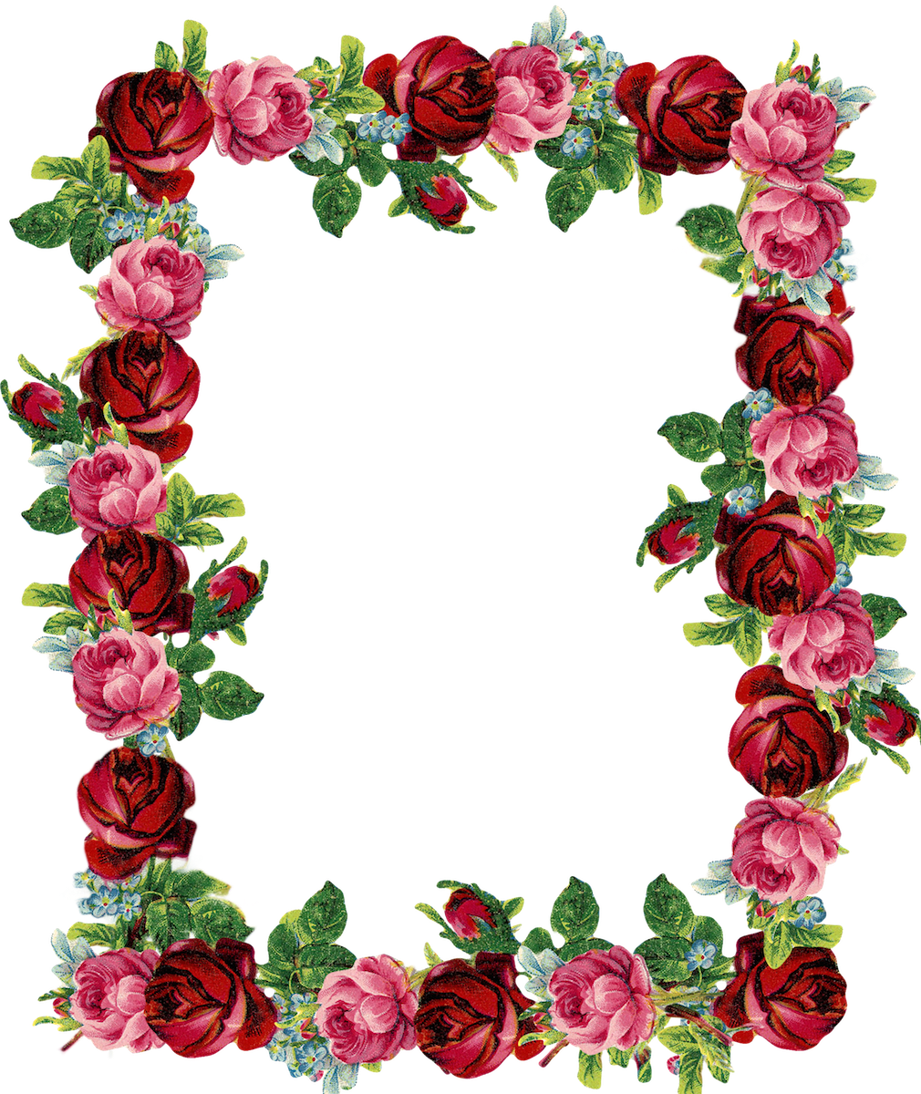 Frame Flower Border Transparent PNG Image