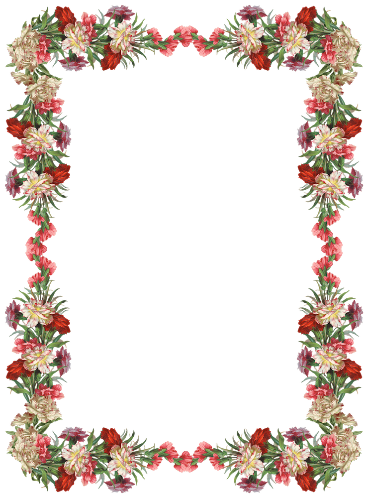Frame Flower Border Colorful Transparent PNG Image