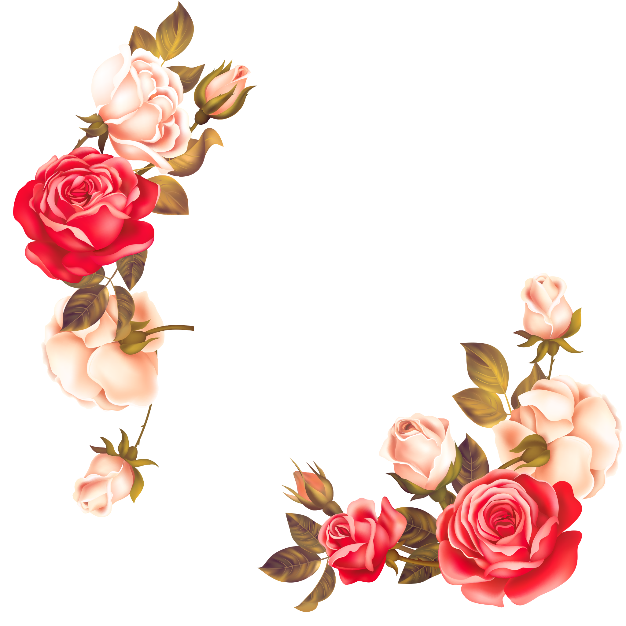 Floral Frame Border Transparent PNG Image