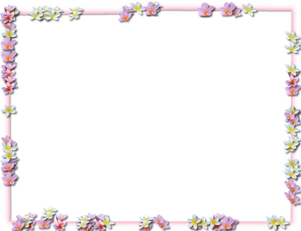 Frame Square Border Flower Transparent PNG Image