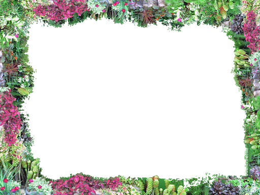 Frame Square Border Flower File Transparent PNG Image