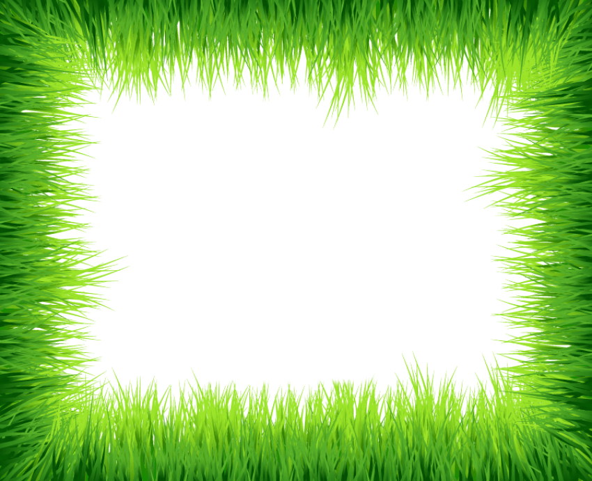 Green Frame Border Transparent PNG Image