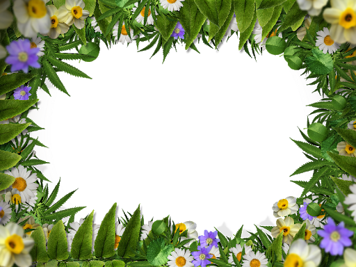 Floral Frame Green Transparent PNG Image