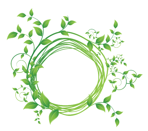Floral Frame Green Transparent PNG Image