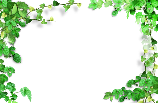 Floral Frame Green File Transparent PNG Image