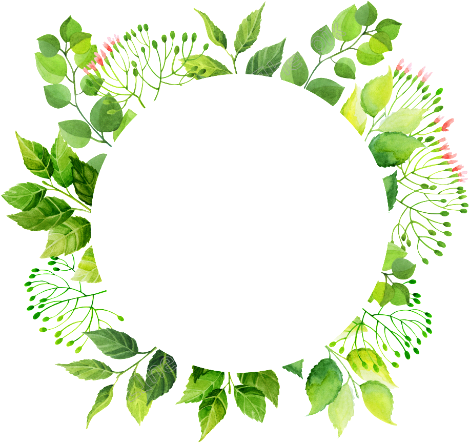 Floral Frame Green Transparent PNG Image