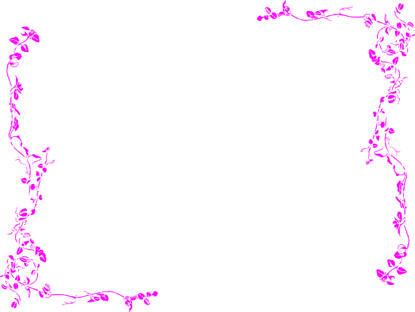 Border Fuchsia Transparent PNG Image