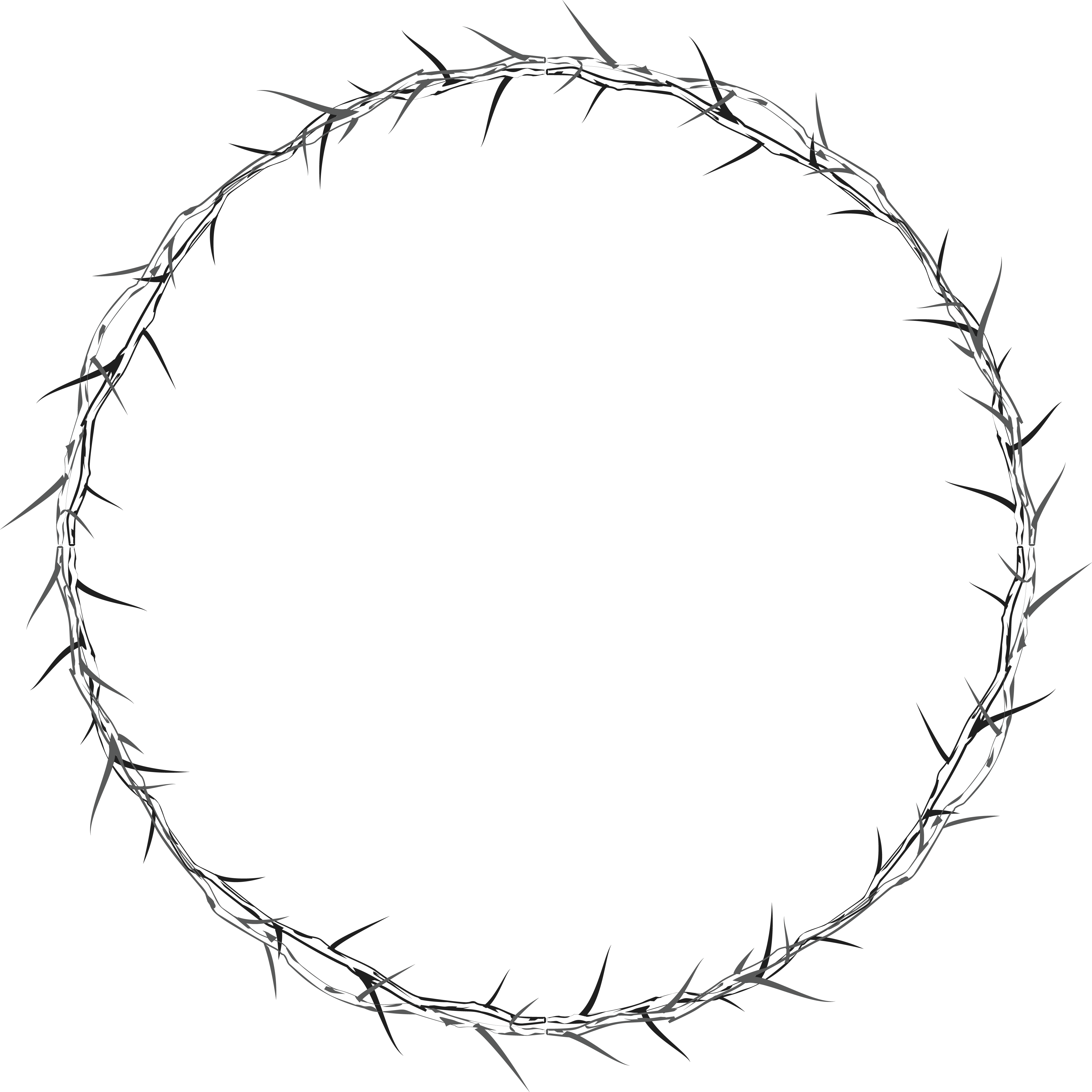Round Frame Transparent PNG Image