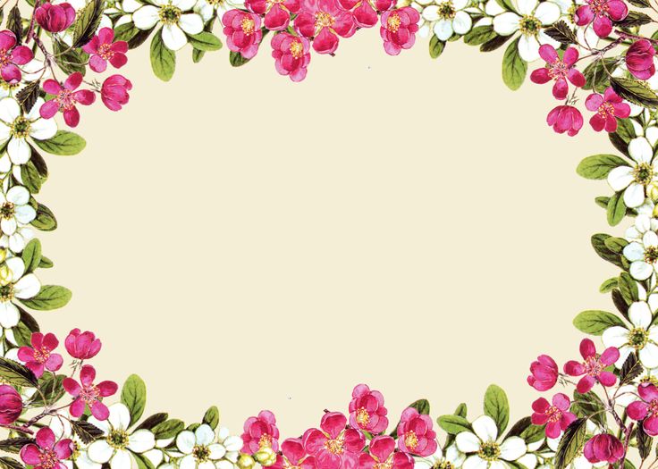 Pink Flower Frame Transparent PNG Image