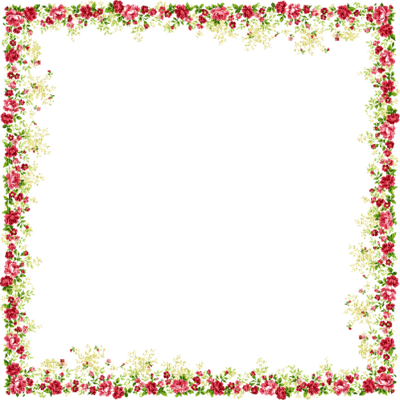 Red Flower Frame Transparent PNG Image